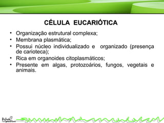 CÉLULA EUCARIÓTICACÉLULA EUCARIÓTICA
• Organização estrutural complexa;
• Membrana plasmática;
• Possui núcleo individualizado e organizado (presença
de carioteca);
• Rica em organoides citoplasmáticos;
• Presente em algas, protozoários, fungos, vegetais e
animais.
 