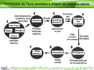Condições da Terra primitiva e origem da primeira célula.
 