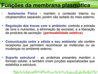 Funções da membrana plasmática
• Isolamento Físico - mantém o conteúdo interno ou
citoplasmático separado, porém não isolado do meio externo;
• Regulação das trocas com o ambiente: controla a entrada
de íons e nutrientes, a eliminação de excretas, e a liberação
de produtos de secreção (permeabilidade seletiva);
• Comunicação entre a célula e seu ambiente: ela contém
receptores que permitem reconhecer as moléculas ou as
mudanças no ambiente externo;
• Suporte estrutural : as proteínas presentes mantém o
formato celular, e também criam junções especializadas que
estabiliza a estrutura.
 