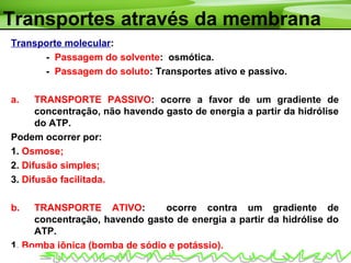 Transportes através da membrana
Transporte molecular:
- Passagem do solvente: osmótica.
- Passagem do soluto: Transportes ativo e passivo.
a. TRANSPORTE PASSIVO: ocorre a favor de um gradiente de
concentração, não havendo gasto de energia a partir da hidrólise
do ATP.
Podem ocorrer por:
1. Osmose;
2. Difusão simples;
3. Difusão facilitada.
b. TRANSPORTE ATIVO: ocorre contra um gradiente de
concentração, havendo gasto de energia a partir da hidrólise do
ATP.
1. Bomba iônica (bomba de sódio e potássio).
 