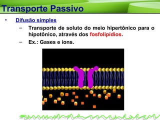 Transporte Passivo
• Difusão simples
– Transporte de soluto do meio hipertônico para o
hipotônico, através dos fosfolipídios.
– Ex.: Gases e íons.
 