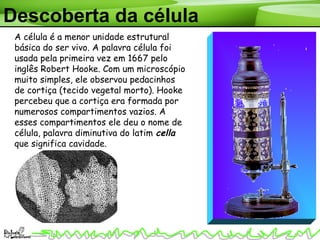 A célula é a menor unidade estrutural
básica do ser vivo. A palavra célula foi
usada pela primeira vez em 1667 pelo
inglês Robert Hooke. Com um microscópio
muito simples, ele observou pedacinhos
de cortiça (tecido vegetal morto). Hooke
percebeu que a cortiça era formada por
numerosos compartimentos vazios. A
esses compartimentos ele deu o nome de
célula, palavra diminutiva do latim cella
que significa cavidade.
Descoberta da célula
 
