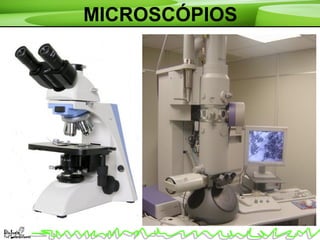 MICROSCÓPIOS
 