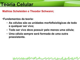 Teoria Celular
Mathias Scheleiden e Theodor Schwann;
•Fundamentos da teoria:
– As células são as unidades morfofisiológicas de todo
e qualquer ser vivo;
– Todo ser vivo deve possuir pelo menos uma célula;
– Uma célula sempre será formada de uma outra
preexistente.
 