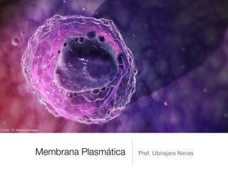 Fonte: 3D Medical Images




                      Membrana Plasmática   Prof. Ubirajara Neves
 
