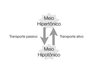 Meio
                 Hipertônico

Transporte passivo            Transporte ativo


                        Meio
                     Hipotônico
 