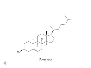 Colesterol
 