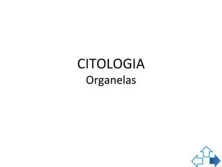 CITOLOGIA
 Organelas
 