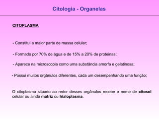 Citologia - Organelas
CITOPLASMA
- Constitui a maior parte de massa celular;
- Formado por 70% de água e de 15% a 20% de proteinas;
- Aparece na microscopia como uma substância amorfa e gelatinosa;
- Possui muitos orgânulos diferentes, cada um desempenhando uma função;
O citoplasma situado ao redor desses orgânulos recebe o nome de citosol
celular ou ainda matriz ou hialoplasma.
 