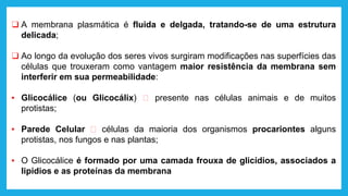 ❑ A membrana plasmática é fluida e delgada, tratando-se de uma estrutura
delicada;
❑ Ao longo da evolução dos seres vivos surgiram modificações nas superfícies das
células que trouxeram como vantagem maior resistência da membrana sem
interferir em sua permeabilidade:
▪ Glicocálice (ou Glicocálix) 🡪 presente nas células animais e de muitos
protistas;
▪ Parede Celular 🡪 células da maioria dos organismos procariontes alguns
protistas, nos fungos e nas plantas;
▪ O Glicocálice é formado por uma camada frouxa de glicídios, associados a
lipídios e as proteínas da membrana
 