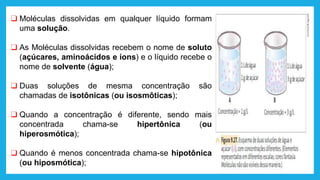❑ Moléculas dissolvidas em qualquer líquido formam
uma solução.
❑ As Moléculas dissolvidas recebem o nome de soluto
(açúcares, aminoácidos e íons) e o líquido recebe o
nome de solvente (água);
❑ Duas soluções de mesma concentração são
chamadas de isotônicas (ou isosmôticas);
❑ Quando a concentração é diferente, sendo mais
concentrada chama-se hipertônica (ou
hiperosmótica);
❑ Quando é menos concentrada chama-se hipotônica
(ou hiposmótica);
 