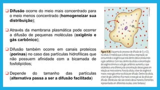 ❑ Difusão ocorre do meio mais concentrado para
o meio menos concentrado (homogeneizar sua
distribuição);
❑ Através da membrana plasmática pode ocorrer
a difusão de pequenas moléculas (oxigênio e
gás carbônico);
❑ Difusão também ocorre em canais proteicos
(porinas) no caso das partículas hidrofílicas que
não possuem afinidade com a bicamada de
fosfolipídios;
❑ Depende do tamanho das partículas
(alternativa passa a ser a difusão facilitada)
 