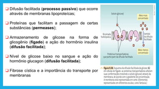 ❑ Difusão facilitada (processo passivo) que ocorre
através de membranas lipoproteícas;
❑ Proteínas que facilitam a passagem de certas
substâncias (permeases);
❑ Armazenamento de glicose na forma de
glicogênio (fígado) e ação do hormônio insulina
(difusão facilitada);
❑ Nível de glicose baixo no sangue e ação do
hormônio glucagon (difusão facilitada);
❑ Fibrose cística e a importância do transporte por
membranas
 