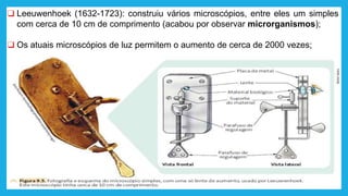 ❑ Leeuwenhoek (1632-1723): construiu vários microscópios, entre eles um simples
com cerca de 10 cm de comprimento (acabou por observar microrganismos);
❑ Os atuais microscópios de luz permitem o aumento de cerca de 2000 vezes;
 