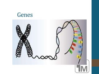Genes
 