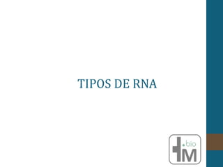 TIPOS DE RNA
 