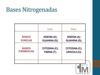 Bases Nitrogenadas
DNA RNA
BASES
PÚRICAS
ADENIA (A)
GUANINA (G)
ADENIA (A)
GUANINA (G)
BASES
PIRIMÍDICAS
CITOSINA (C)
TIMINA (T)
CITOSINA (C)
URACILA (U)
 