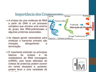 ImportânciadosCromossomo
Alteração da Proteina
A síntese de uma molécula de RNA
a partir do DNA é um processo
complexo que envolve uma enzima
do grupo das RNA-polimerases e
algumas proteínas associadas.
As etapas gerais necessárias para
sintetizar o transcrito primário são
iniciação, alongamento e
terminação.
É importante entender os princípios
básicos da síntese e do
metabolismo do RNA mensageiro
(mRNA), pois taxas alteradas de
síntese de proteínas podem ocorrer
em certas situações e, portanto,
podem levar a uma variedade de
 