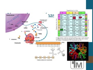 Síntese de proteínas
 
