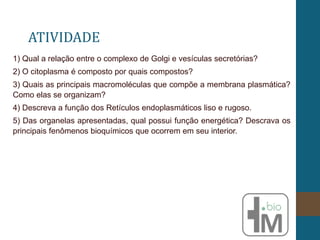 ATIVIDADE
1) Qual a relação entre o complexo de Golgi e vesículas secretórias?
2) O citoplasma é composto por quais compostos?
3) Quais as principais macromoléculas que compõe a membrana plasmática?
Como elas se organizam?
4) Descreva a função dos Retículos endoplasmáticos liso e rugoso.
5) Das organelas apresentadas, qual possui função energética? Descrava os
principais fenômenos bioquímicos que ocorrem em seu interior.
 