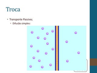 Troca
• Transporte Passivo;
• Difusão simples:
 