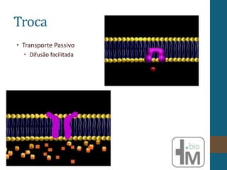 Troca
• Transporte Passivo
• Difusão facilitada
 