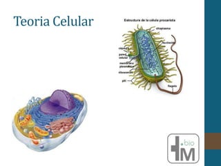 Teoria Celular
 