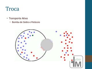 Troca
• Transporte Ativo
• Bomba de Sódio e Potássio
 