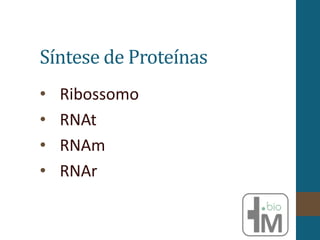 Síntese de Proteínas
• Ribossomo
• RNAt
• RNAm
• RNAr
 