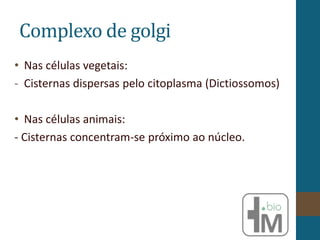 Complexo de golgi
• Nas células vegetais:
- Cisternas dispersas pelo citoplasma (Dictiossomos)
• Nas células animais:
- Cisternas concentram-se próximo ao núcleo.
 
