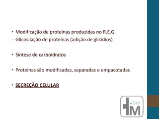 • Modificação de proteínas produzidas no R.E.G.
- Glicosilação de proteínas (adição de glicídios)
• Síntese de carboidratos
• Proteínas são modificadas, separadas e empacotadas
• SECREÇÃO CELULAR
 
