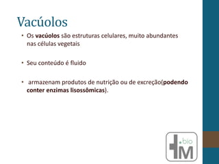 Vacúolos
• Os vacúolos são estruturas celulares, muito abundantes
nas células vegetais
• Seu conteúdo é fluido
• armazenam produtos de nutrição ou de excreção(podendo
conter enzimas lisossômicas).
 