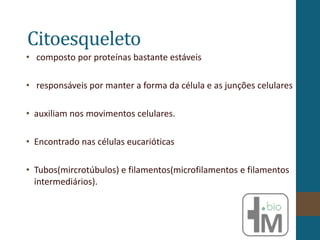 Citoesqueleto
• composto por proteínas bastante estáveis
• responsáveis por manter a forma da célula e as junções celulares
• auxiliam nos movimentos celulares.
• Encontrado nas células eucarióticas
• Tubos(mircrotúbulos) e filamentos(microfilamentos e filamentos
intermediários).
 