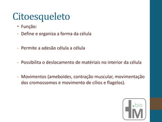 Citoesqueleto
• Função:
- Define e organiza a forma da célula
- Permite a adesão célula a célula
- Possibilita o deslocamento de matériais no interior da célula
- Movimentos (ameboides, contração muscular, movimentação
dos cromossomos e movimento de cílios e flagelos).
 