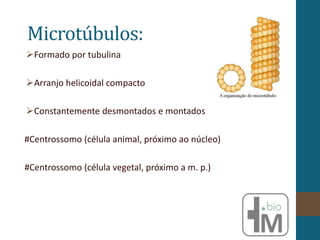 Microtúbulos:
Formado por tubulina
Arranjo helicoidal compacto
Constantemente desmontados e montados
#Centrossomo (célula animal, próximo ao núcleo)
#Centrossomo (célula vegetal, próximo a m. p.)
 