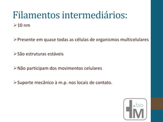 Filamentos intermediários:
10 nm
Presente em quase todas as células de organismos multicelulares
São estruturas estáveis
Não participam dos movimentos celulares
Suporte mecânico à m.p. nos locais de contato.
 