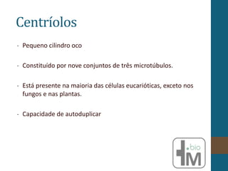 Centríolos
- Pequeno cilindro oco
- Constituído por nove conjuntos de três microtúbulos.
- Está presente na maioria das células eucarióticas, exceto nos
fungos e nas plantas.
- Capacidade de autoduplicar
 