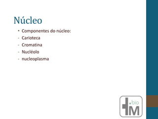Núcleo
• Componentes do núcleo:
- Carioteca
- Cromatina
- Nucléolo
- nucleoplasma
 