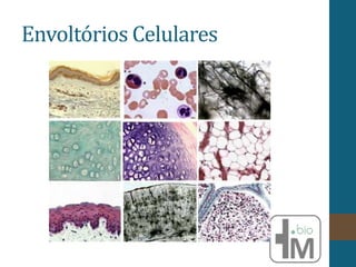 Envoltórios Celulares
 