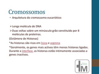 Cromossomos
• Arquitetura do cromossomo eucariótico:
Longa molécula de DNA
Duas voltas sobre um minúsculo grão constituído por 8
moléculas de proteínas.
(Octâmero de Histonas)
*As histonas são ricas em lisina e arginina
*Geralmente, os genes mais activos têm menos histonas ligadas.
Durante a interfase, as histonas estão intimamente associadas a
genes inactivos.
 