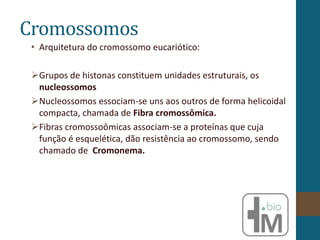 Cromossomos
• Arquitetura do cromossomo eucariótico:
Grupos de histonas constituem unidades estruturais, os
nucleossomos
Nucleossomos essociam-se uns aos outros de forma helicoidal
compacta, chamada de Fibra cromossômica.
Fibras cromossoômicas associam-se a proteínas que cuja
função é esquelética, dão resistência ao cromossomo, sendo
chamado de Cromonema.
 