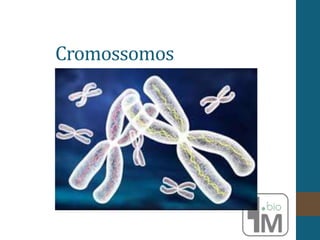 Cromossomos
 