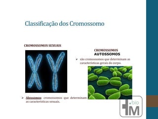 ClassificaçãodosCromossomo
CROMOSSOMOS SEXUAIS
CROMOSSOMOS
AUTOSSOMOS
 Alossomos: cromossomos que determinam
as características sexuais.
 são cromossomos que determinam as
características gerais do corpo.
 
