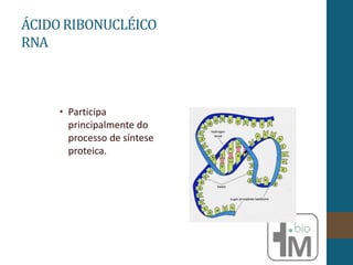ÁCIDO RIBONUCLÉICO
RNA
• Participa
principalmente do
processo de síntese
proteica.
 