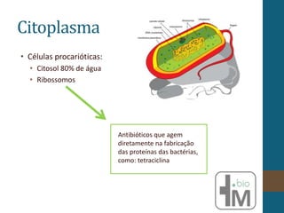 Citoplasma
• Células procarióticas:
• Citosol 80% de água
• Ribossomos
Antibióticos que agem
diretamente na fabricação
das proteínas das bactérias,
como: tetraciclina
 