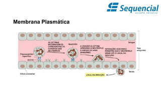 Membrana Plasmática
 
