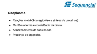 Citoplasma
● Reações metabólicas (glicólise e sintese de proteínas)
● Mantêm a forma e consistência da célula
● Armazenamento de substâncias
● Presença de organelas
 