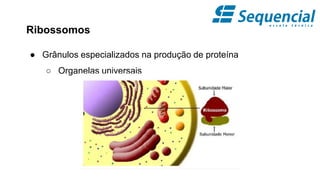 Ribossomos
● Grânulos especializados na produção de proteína
○ Organelas universais
 
