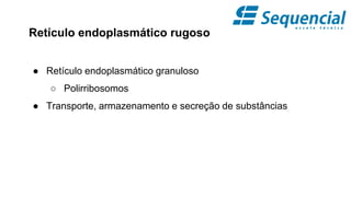 Retículo endoplasmático rugoso
● Retículo endoplasmático granuloso
○ Polirribosomos
● Transporte, armazenamento e secreção de substâncias
 