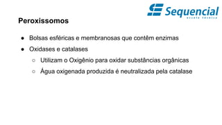 Peroxissomos
● Bolsas esféricas e membranosas que contêm enzimas
● Oxidases e catalases
○ Utilizam o Oxigênio para oxidar substâncias orgânicas
○ Água oxigenada produzida é neutralizada pela catalase
 